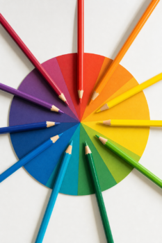 overhead photograph of a traditional 12-segment artist's color wheel