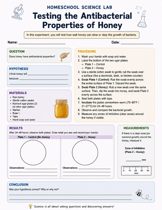 Testing the Antibacterial Properties of Honey, Homeschool Science Lab