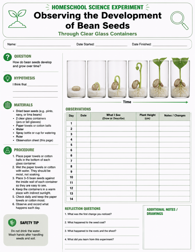 Bean Seed Development Lab Sheet, Clear Glass Container Method