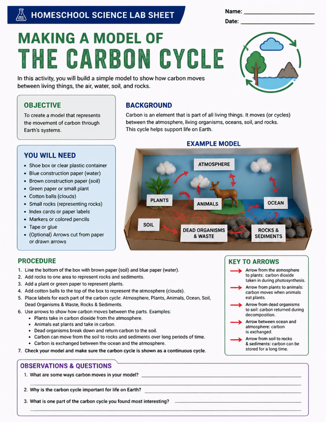 Carbon Cycle Model Lab Sheet, Shoebox Diorama Activity
