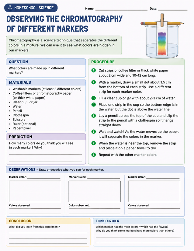 Chromatography of Different Markers Lab Sheet