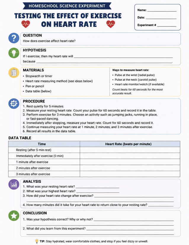 Effect of Exercise on Heart Rate Lab Sheet