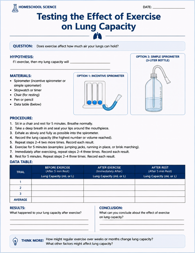 Effect of Exercise on Lung Capacity, Homeschool Science Lab