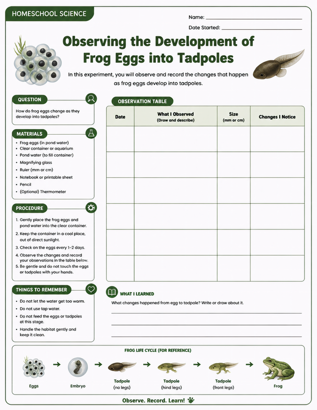 Frog Eggs into Tadpoles Lab Sheet, Life Cycle Observations