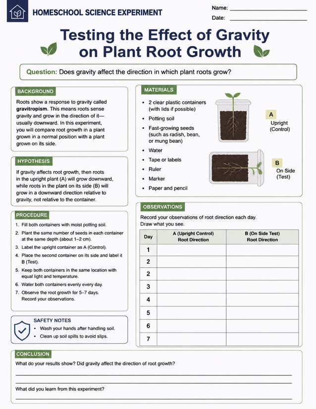 Gravity Effect on Plant Root Growth Lab Sheet