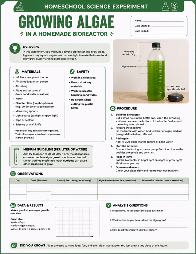 Growing Algae in a Homemade Bioreactor, Lab Sheet