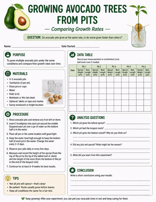 Growing Avocado Trees from Pits, Comparing Growth Rates