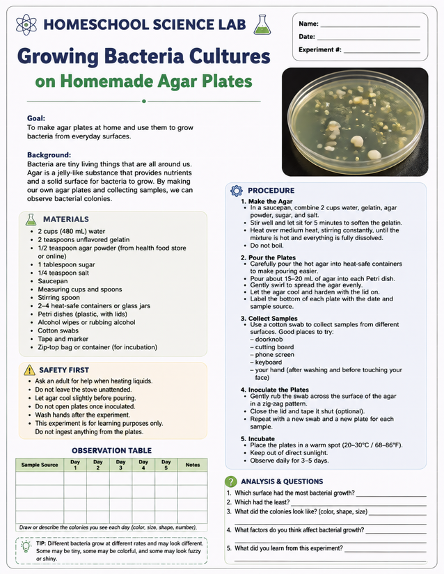 Growing Bacteria Cultures on Homemade Agar Plates Lab Sheet