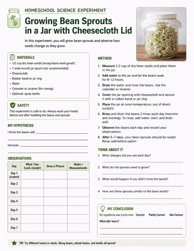 Growing Bean Sprouts in a Jar, Homeschool Science Lab Sheet