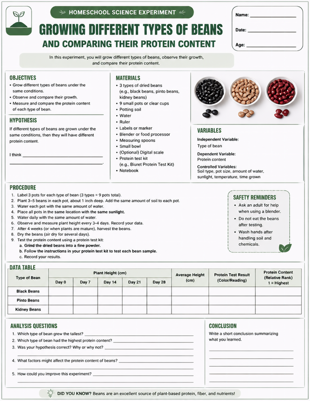 Growing Different Types of Beans and Comparing Their Protein Content