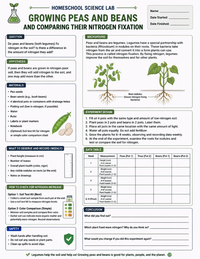 Growing Peas and Beans Nitrogen Fixation Lab Sheet