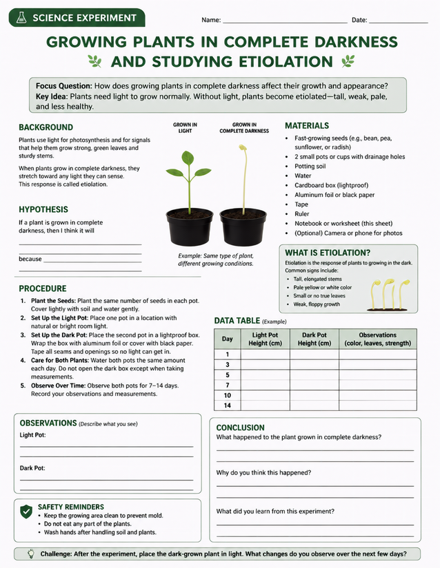 Growing Plants in Complete Darkness Lab Sheet, Etiolation Study