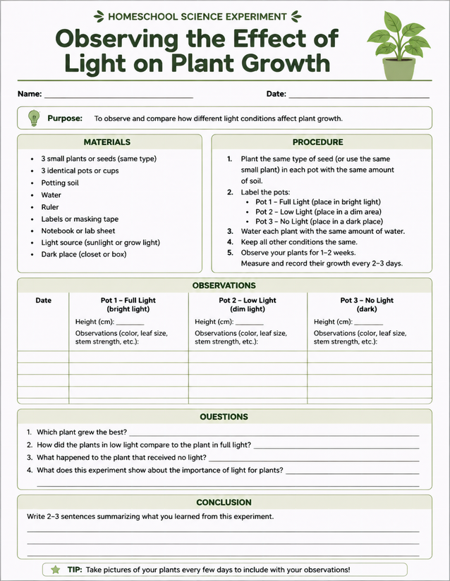Light on Plant Growth Lab Sheet, Three Light Conditions