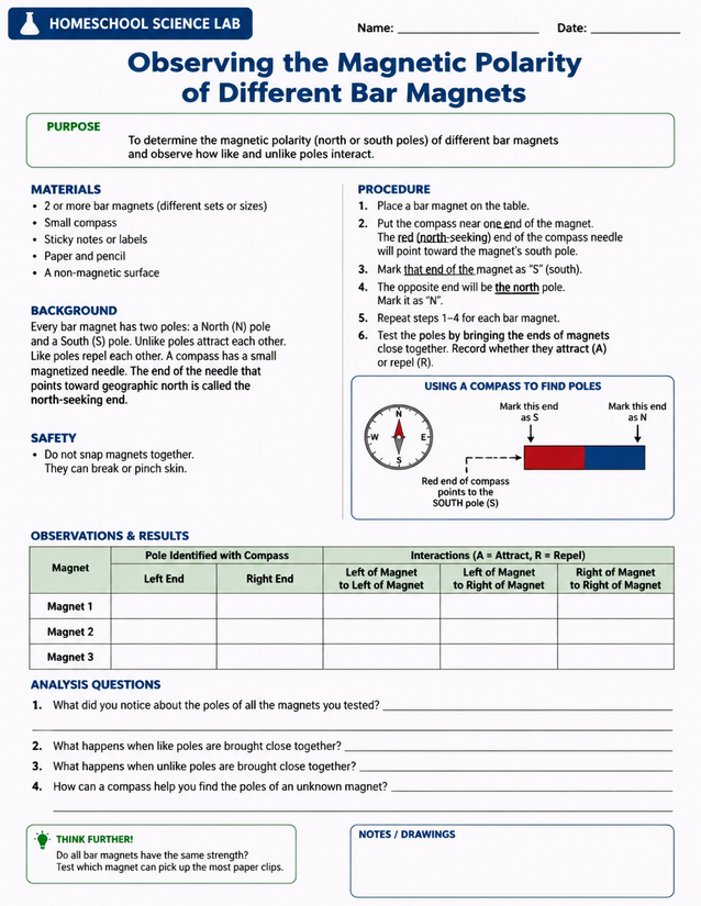 Magnetic Polarity of Different Bar Magnets Lab Sheet