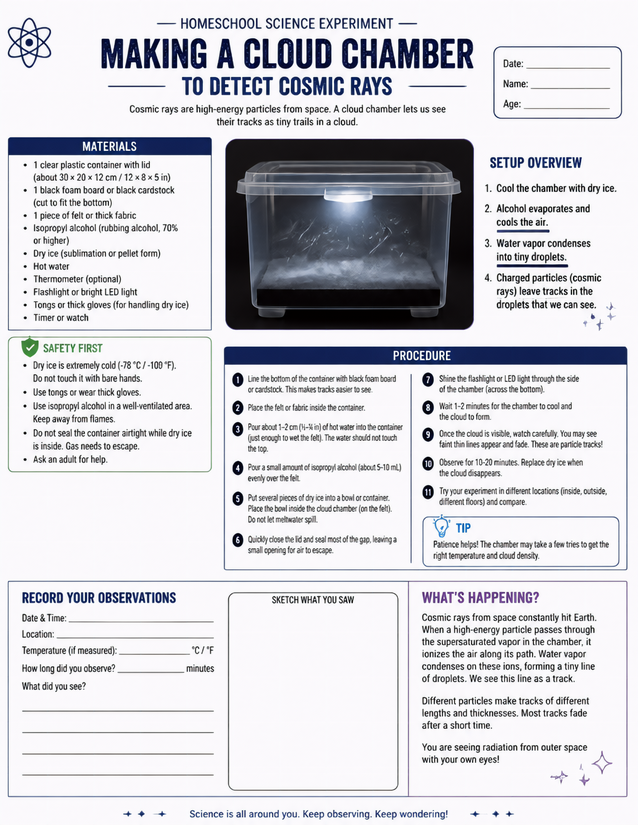 Making a Cloud Chamber to Detect Cosmic Rays