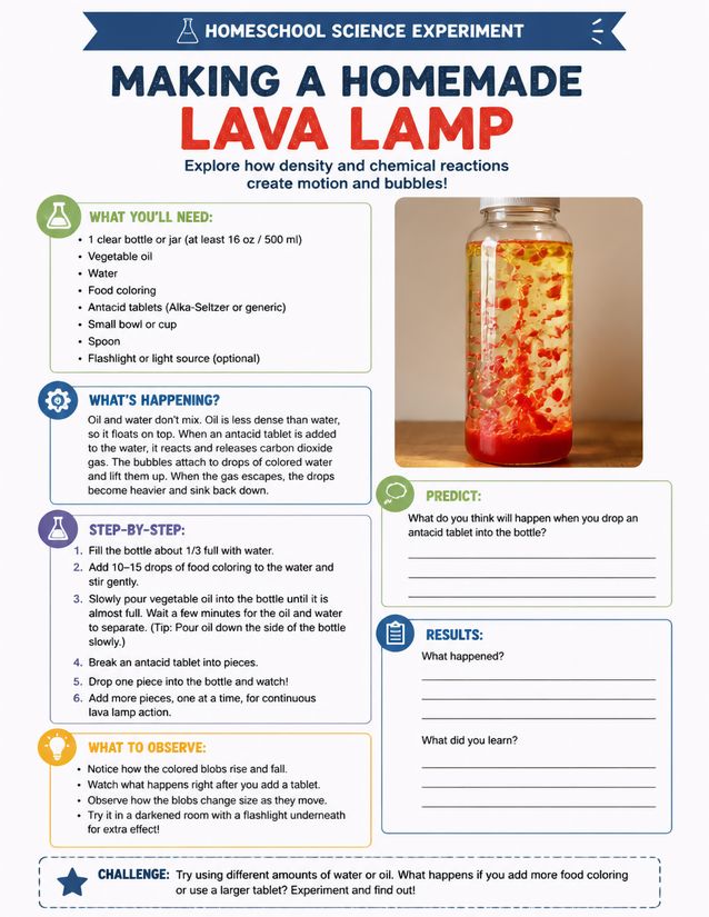 Making a Homemade Lava Lamp, Density and Chemical Reactions