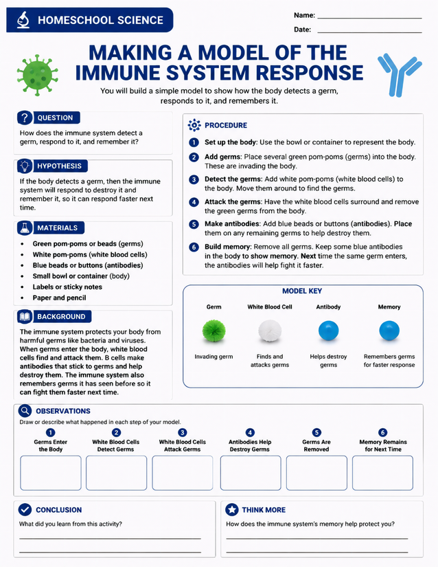 Making a Model of the Immune System Response, Pom-Pom Lab