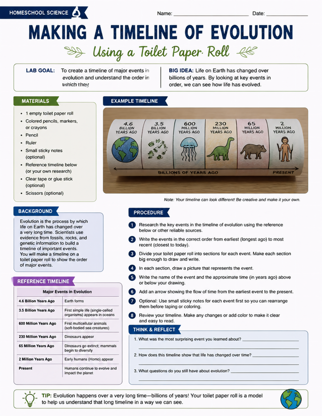 Making a Timeline of Evolution Using a Toilet Paper Roll