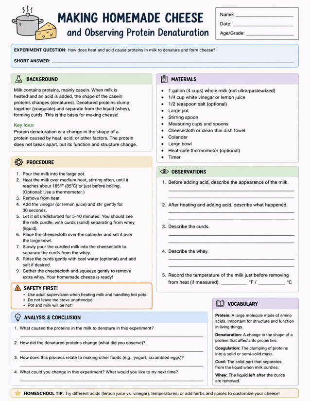 Making Homemade Cheese Science Lab Sheet, Protein Denaturation
