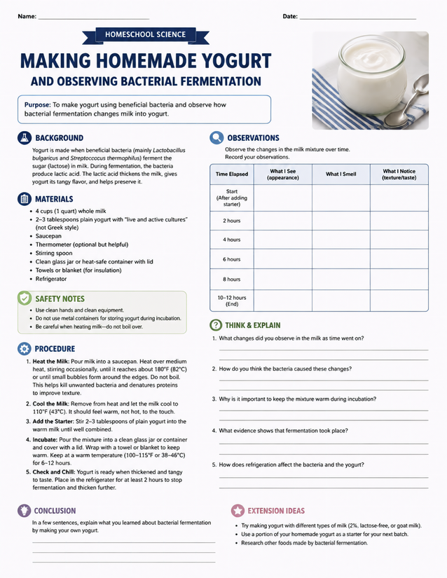 Making Homemade Yogurt Lab Sheet, Bacterial Fermentation