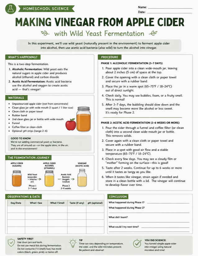 Making Vinegar from Apple Cider, Wild Yeast Fermentation Lab