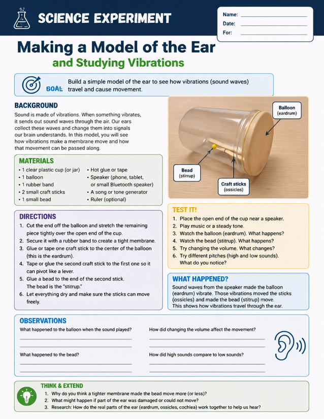 Making a Model of the Ear and Studying Vibrations