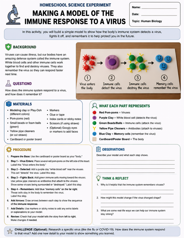 Making a Model of the Immune Response to a Virus
