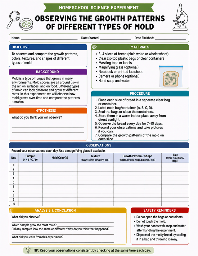 Mold Growth Patterns Lab Sheet, Grades 4-7