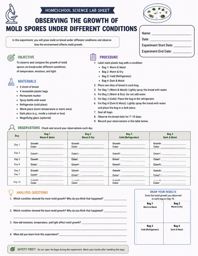 Mold Spores Under Different Conditions Lab Sheet