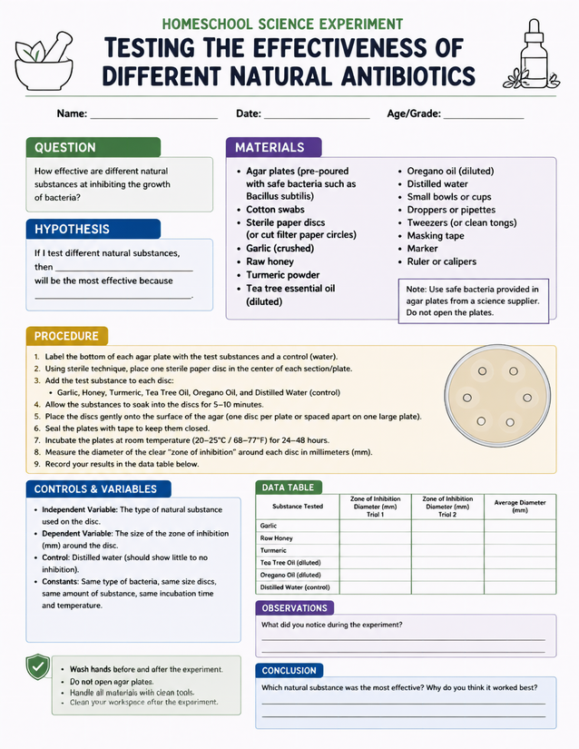 Natural Antibiotics Effectiveness Lab Sheet, Grades 6-8