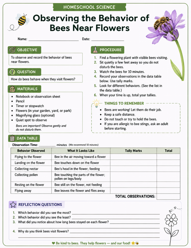 Observing Bee Behavior Near Flowers, Homeschool Science Lab Sheet