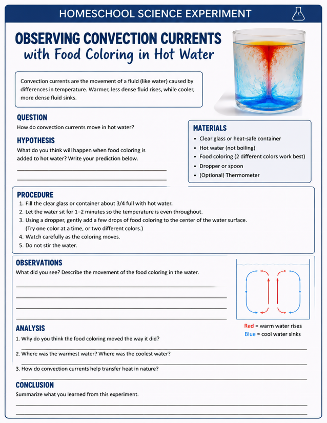 Observing Convection Currents with Food Coloring in Hot Water