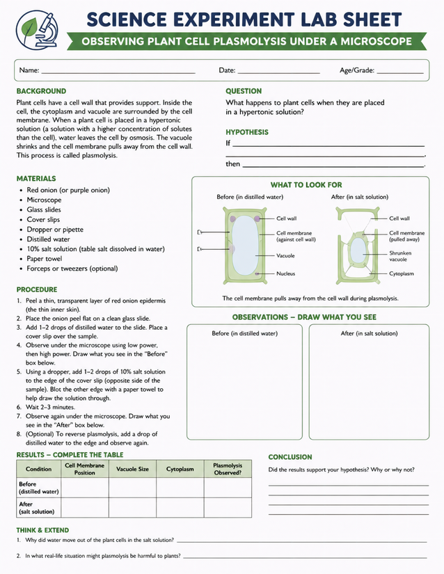 Plant Cell Plasmolysis Lab Sheet, Red Onion Microscope Experiment
