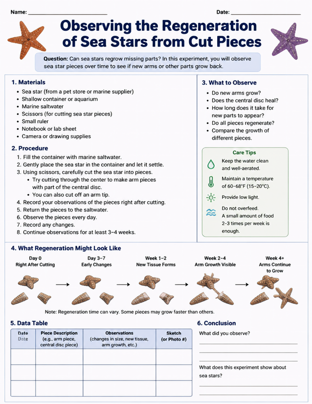 Sea Star Regeneration Lab Sheet, Cut Pieces Observation
