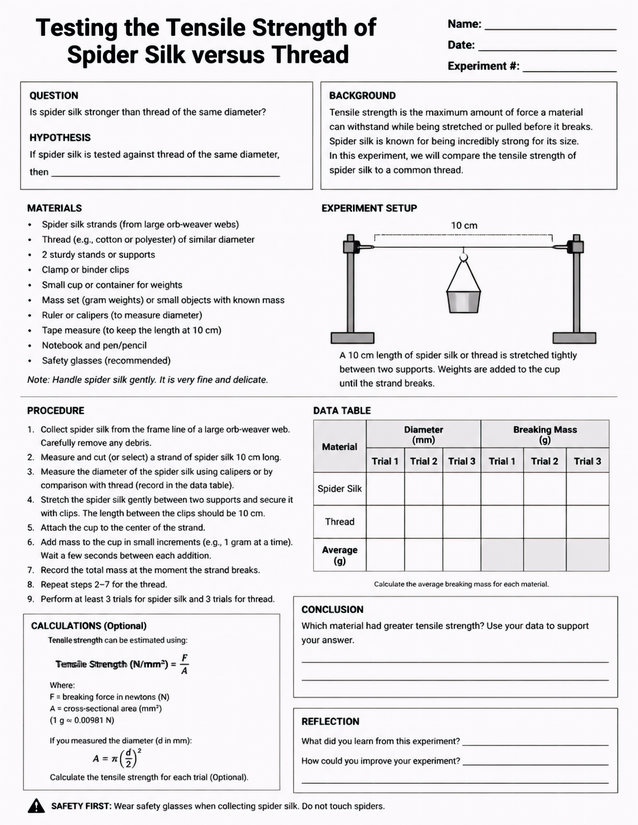 Spider Silk Tensile Strength Lab Sheet, Grades 5-8