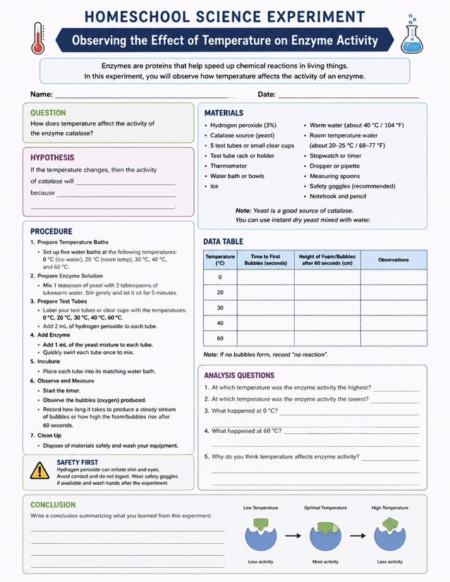 Temperature Effect on Enzyme Activity Lab Sheet, Catalase