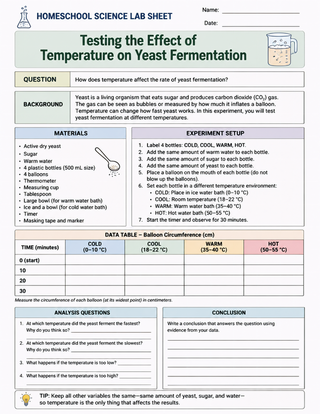 Temperature on Yeast Fermentation Lab Sheet, Four Water Baths