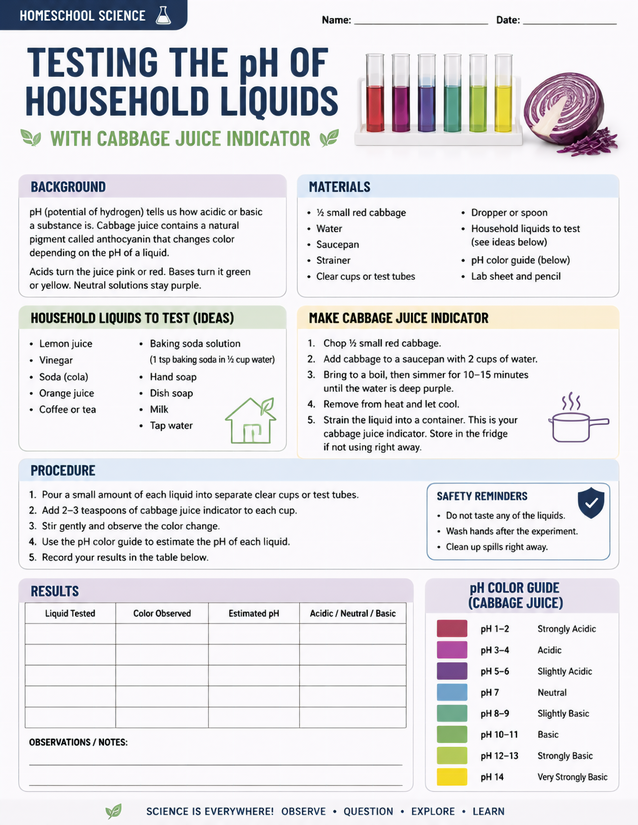 Testing the pH of Household Liquids with Cabbage Juice Indicator