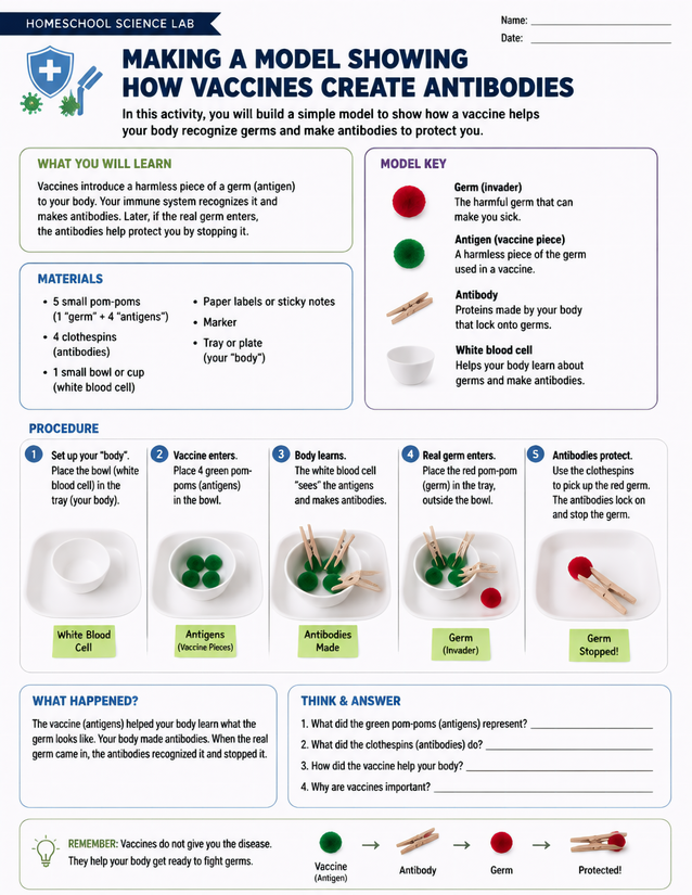 Vaccine Antibody Model Lab Sheet, Pom-Poms and Clothespins