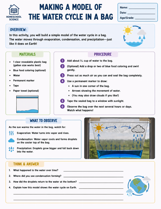 Water Cycle in a Bag Lab Sheet, Evaporation to Precipitation