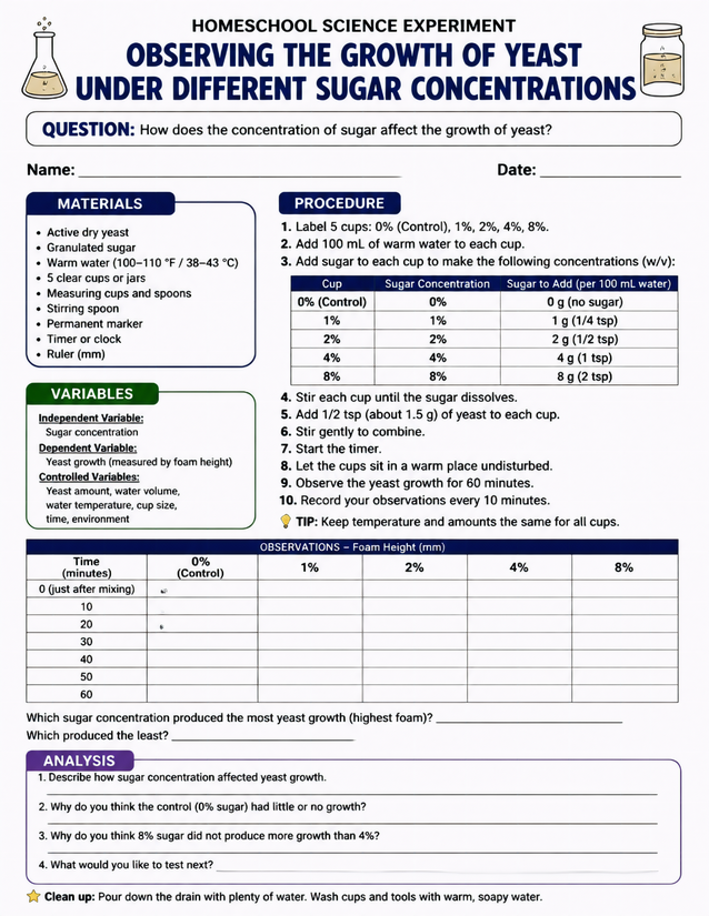 Yeast Growth Under Different Sugar Concentrations Lab Sheet